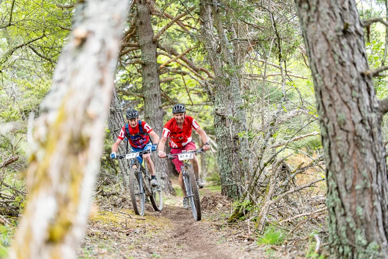 VTT Pont la Dame (VTT n°14 rouge) — La Faurie