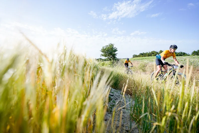 VTT Suane (VTT n°19 bleu) — Aspremont