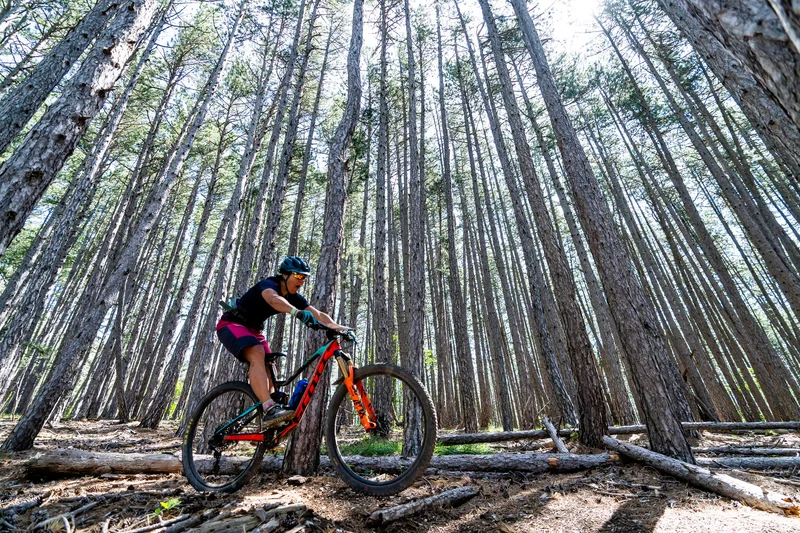 VTT La Longeagne (VTT n°8 noir) — Aspres-sur-Buëch