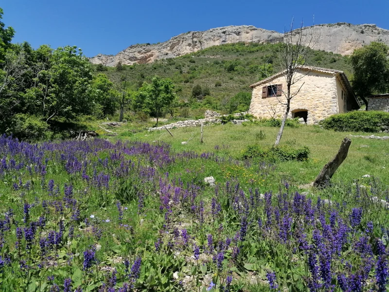 Randonnée Sous le Pic de Crigne (N°14) · Monêtier-Allemont