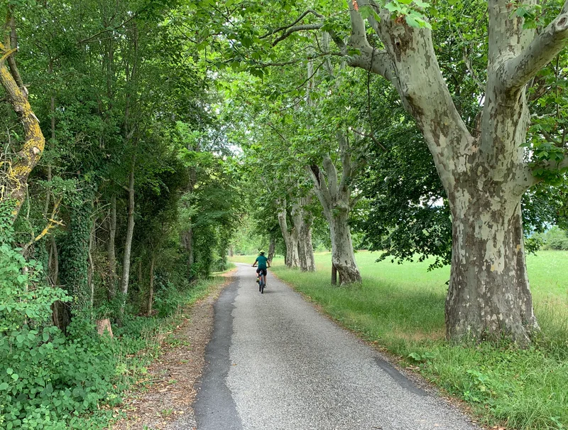 VTT Plateau de Saint-Didier à VTT (N°13) — Valernes