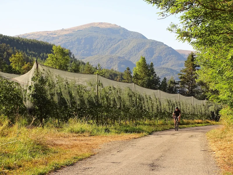 VTT La Balade des vergers à VTT (N°1) — Le Caire