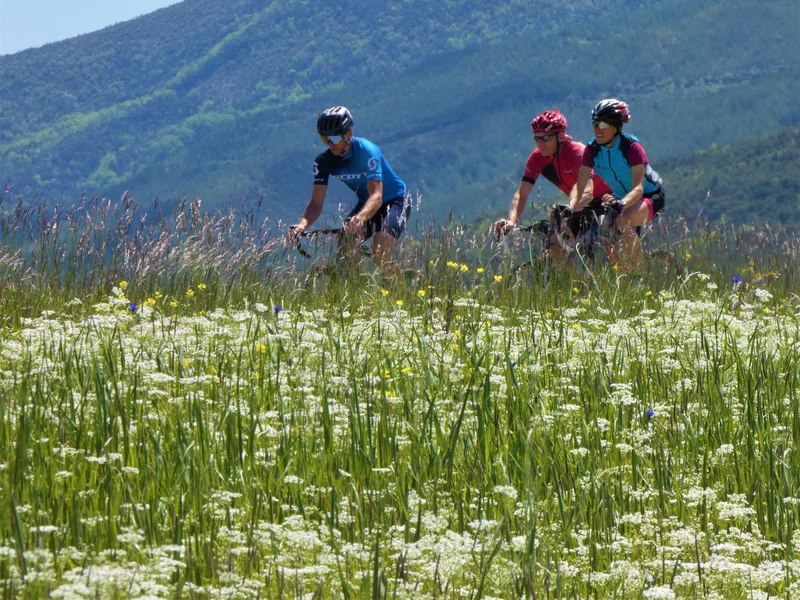 Vélo de route Autour du Risou à vélo (N°2) — Rosans