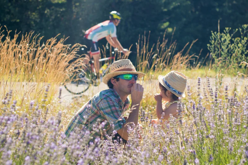 Vélo de route La route des lavandes à vélo (N°13) — Rosans