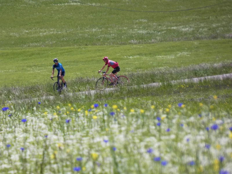 Vélo de route Les Préalpes à vélo (N°4) — Serres