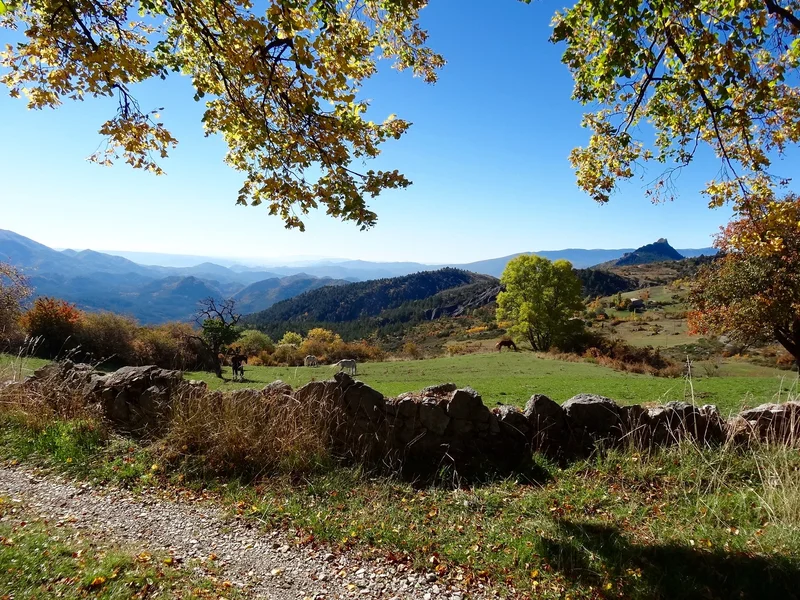 Trail Montée de Saint-Jacques — Châteaufort