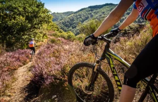 VTT E2 Les Aviateurs — Albine