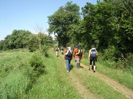 Randonnée Le sentier des Hérons — Saïx