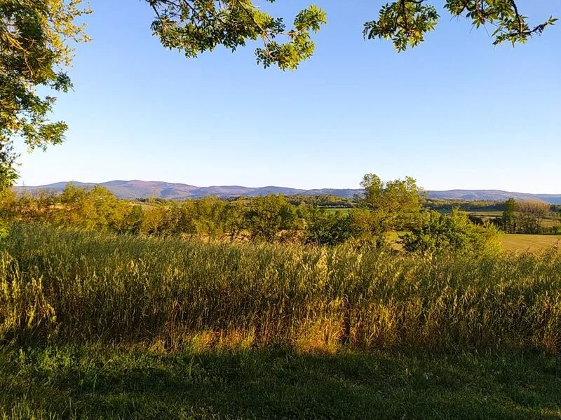 Randonnée Lou Cami de Viviers — Viviers-lès-Montagnes