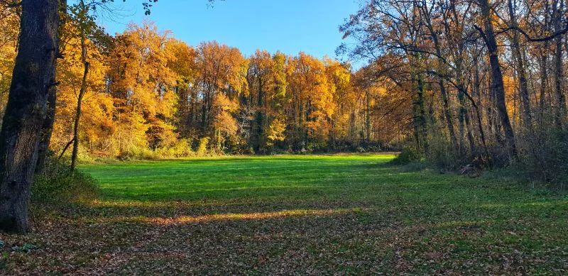 Randonnée Chemin des Mûres — Terre-de-Bancalié