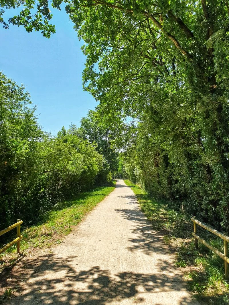 Randonnée Chemin secret de l'Autan — Lombers