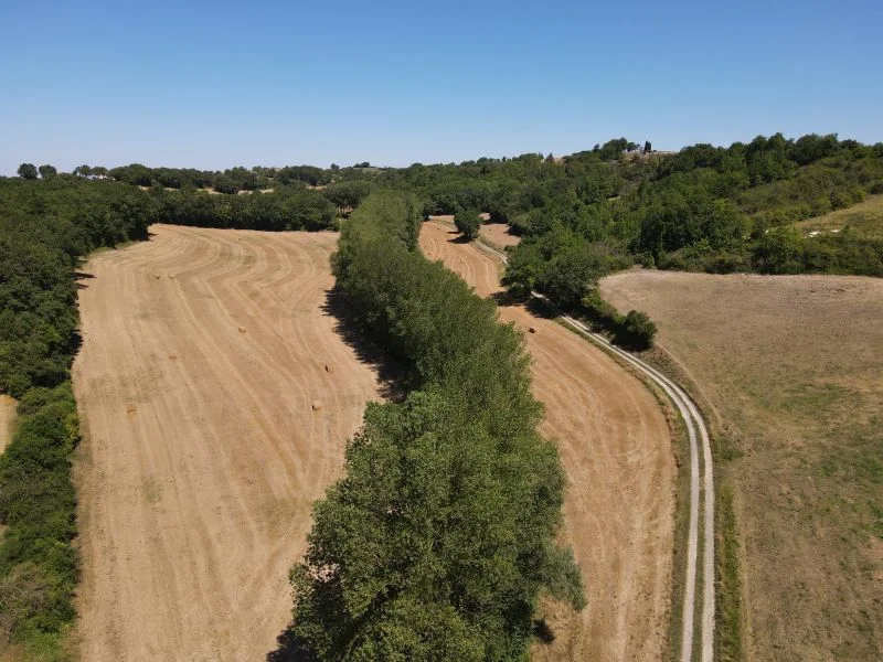 Randonnée Circuit du Vieux Chêne — Lombers