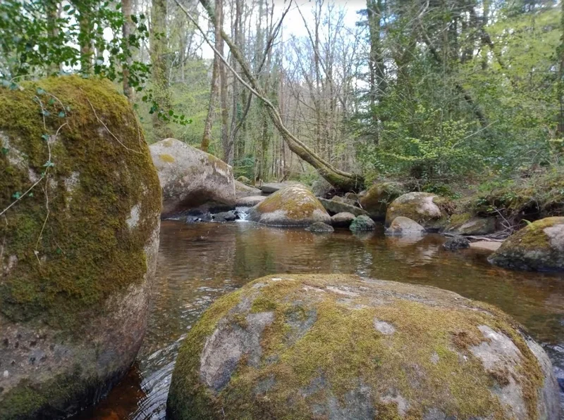 Randonnée Sentier rivière de rochers — Lacrouzette