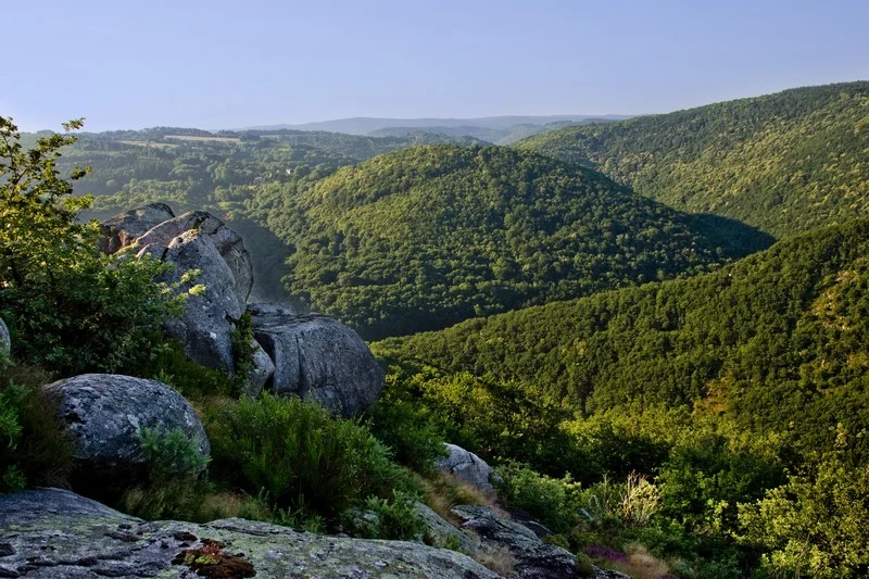 Randonnée Sentier des bergers — Fontrieu