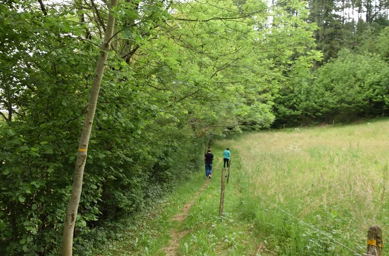 Randonnée Sentier de Peyrolles — Fontrieu