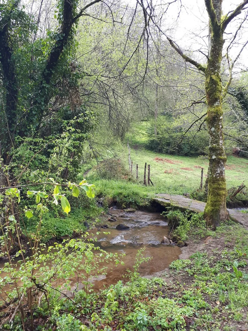 Randonnée Sentier boucle du Carreriou — Fontrieu