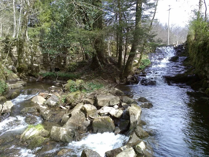 Randonnée Sentier des sources de la Durencuse — Brassac