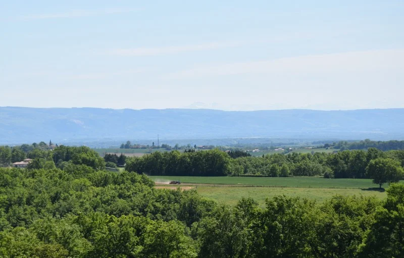 Randonnée Randonnée des Puechs, sur les traces de Toulouse-Lautrec — Montfa