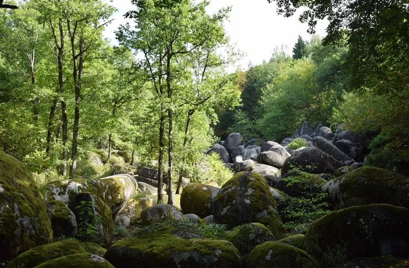 Randonnée Sentier du Chaos de la Rouquette — Burlats