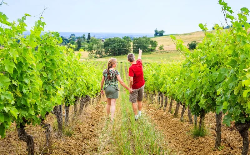 Randonnée Oenorando® Le chemin de Pompirac — Gaillac