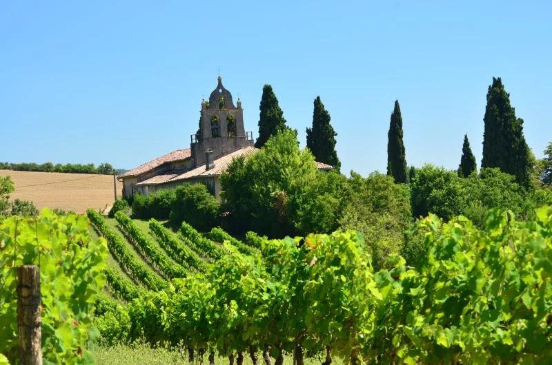 Randonnée Oenorando® Vignes et clochers — Lisle-sur-Tarn
