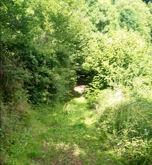 Randonnée Sentier du bois du prince — Fontbelle