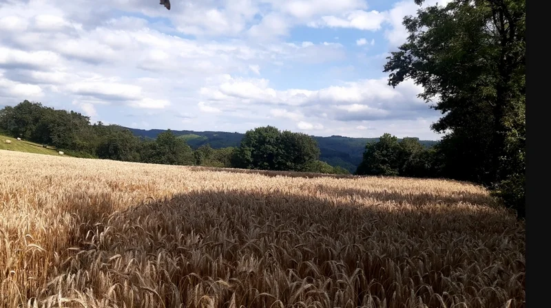 Randonnée Randonnée Lo camin traversut — Fontbelle