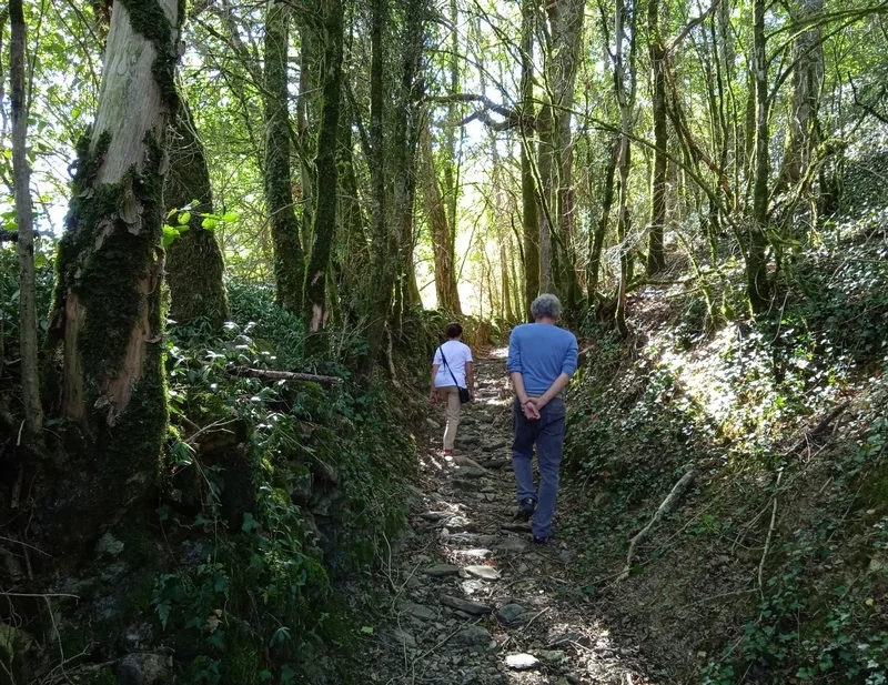 Randonnée Sentier du chemin de pierre de Sénégats — Lacaze