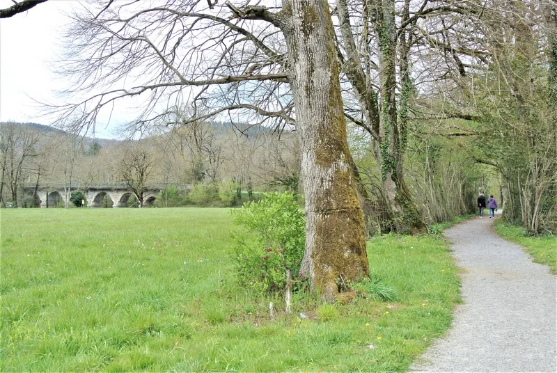 Randonnée Voie douce de Brassac à Bouissas via Saint Agnan — Brassac