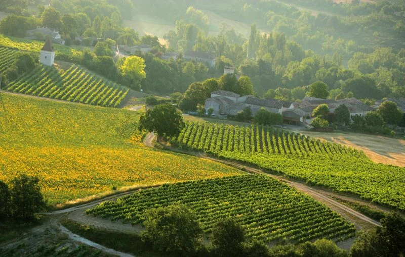Randonnée Chemin de la Vère au Saint-Hussou — Cahuzac-sur-Vère