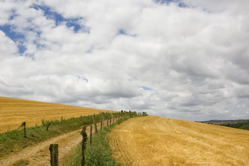 Randonnée Sentier des crêtes - Variante courte — Briatexte