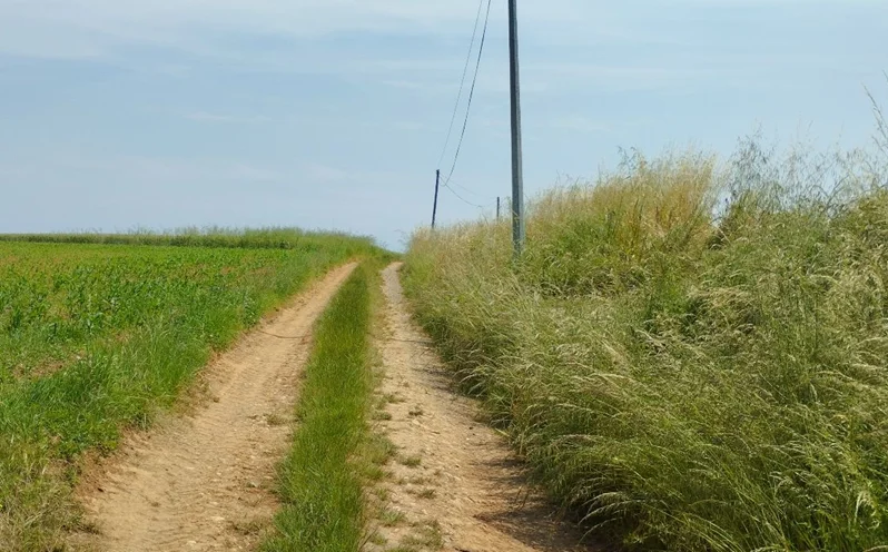 Randonnée Sentier des 3 ruisseaux — Bellegarde-Marsal