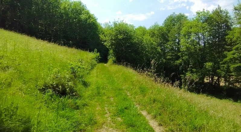 Randonnée Lo cami de Theoullet — Teulet