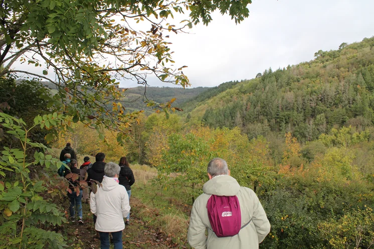 Randonnée Sentier des vignes et des vergers — Miolles