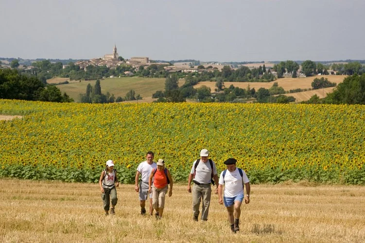 Randonnée Sentier des quatre châteaux — Senouillac