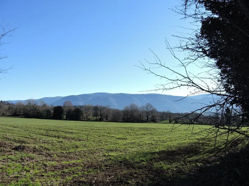 Randonnée Les hauts de Roussoulp — Pont-de-l'Arn