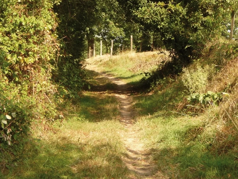 Randonnée Chemin de la Gaugne — Fréjairolles
