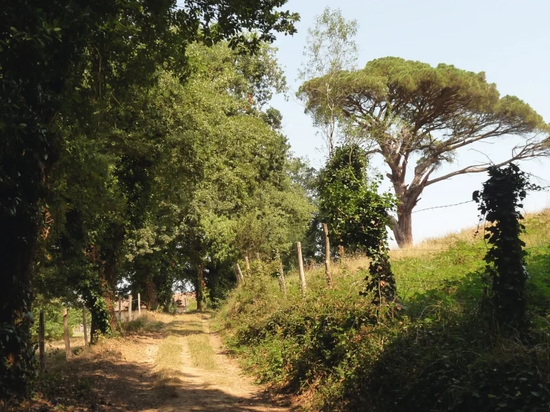 Randonnée Chemin des deux vallons — Cunac