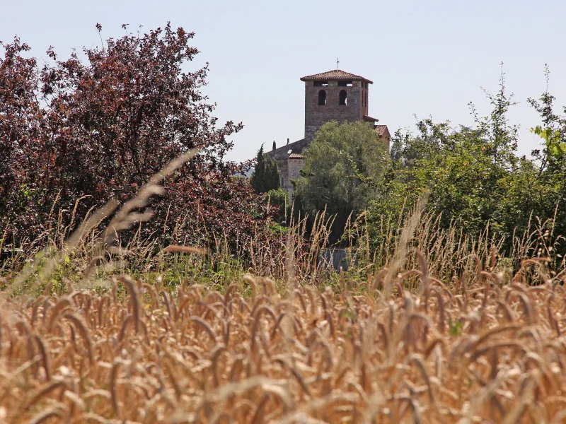 Randonnée Les chemins de la plaine — Lescure-d'Albigeois