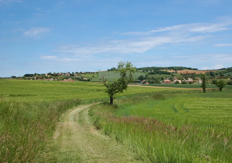 Randonnée Sentier de Fourmageouge — Rouffiac