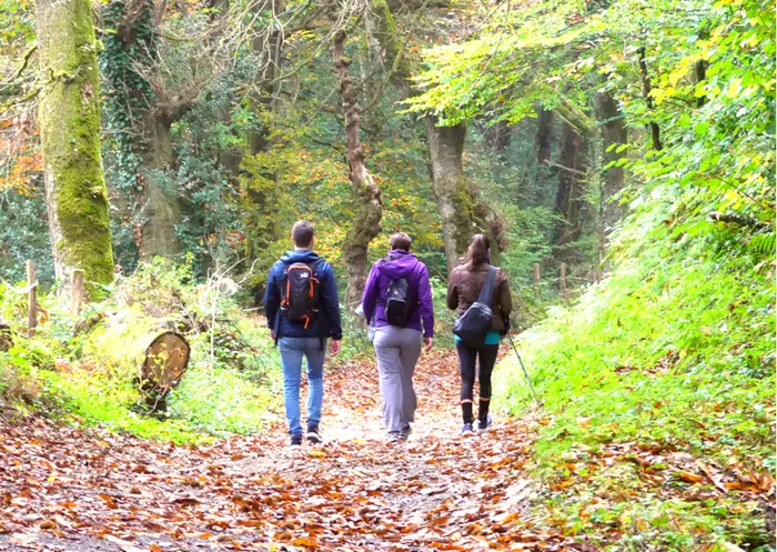 Randonnée Boucle des forêts du Malous — Noailhac