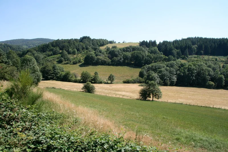 Randonnée Les tourelles — Murat-sur-Vèbre