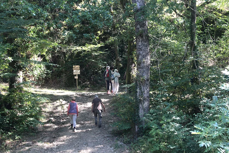 Randonnée Sentier botanique de Pampelonne — Pampelonne