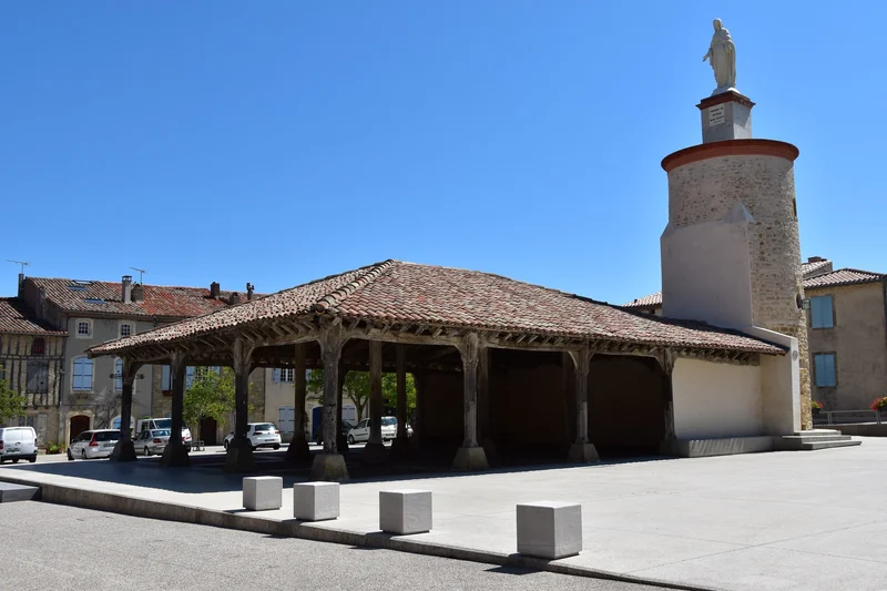 Randonnée Chemin des fourches et des collines · Saint-Félix-Lauragais