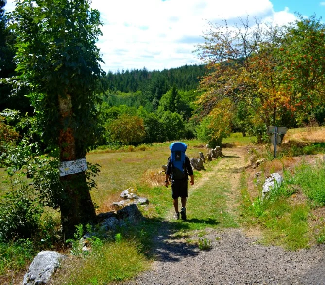 Randonnée La lauze — La Salvetat-sur-Agout