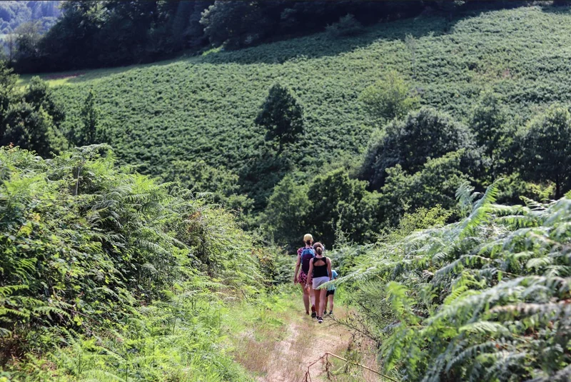 Randonnée Sentier Prévert — Fraisse-sur-Agout