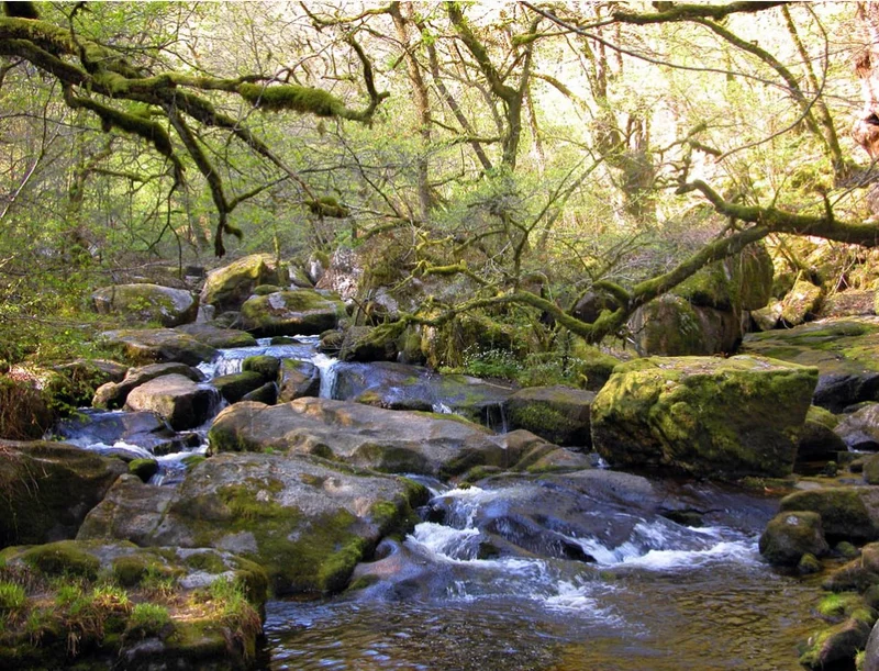 Randonnée La haute vallée de l'Agout — Cambon