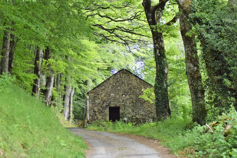 Randonnée De Lacanal à Rouvières (version courte) — Nages