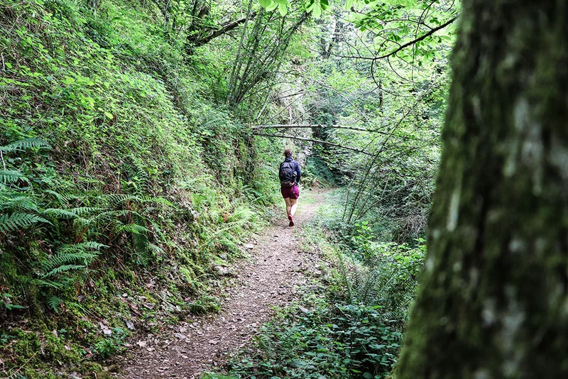 Randonnée Circuit du château de Thuriès et du Viaur — Pampelonne
