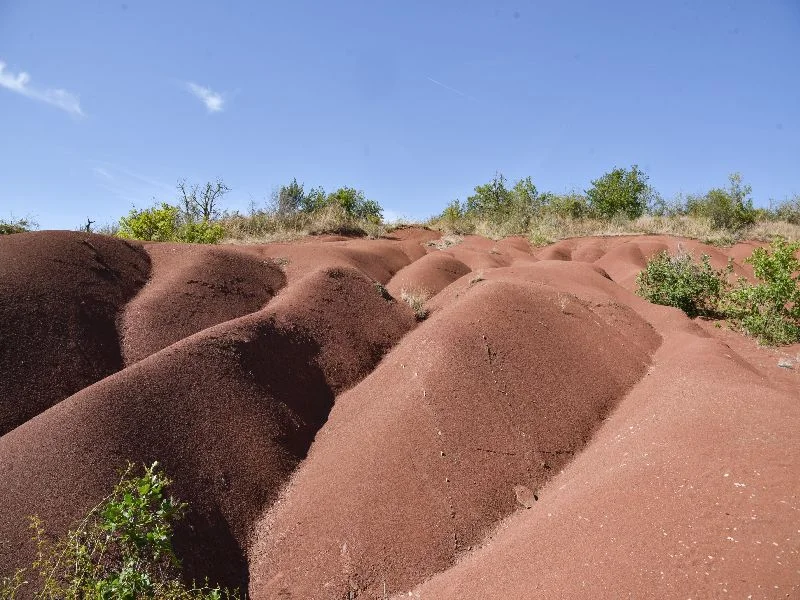 Randonnée Sentier de Maraval - portion des dunes — Labarthe-Bleys